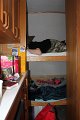 IMG_4389